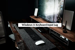 How to Fix Windows 11 Keyboard Input Lag